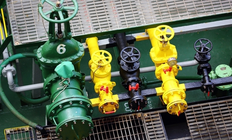 Shutterstock 497526367 (1)