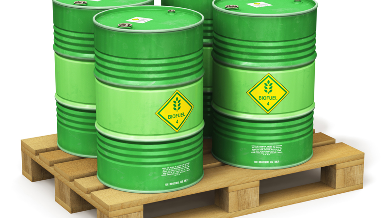 Shutterstock 1118997818