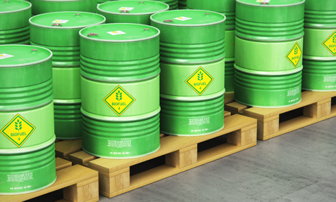 Shutterstock 1108637267