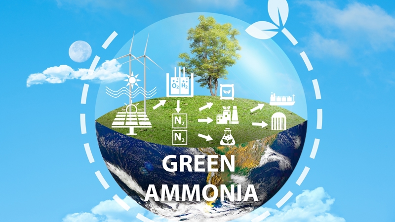 Shutterstock 2576606527